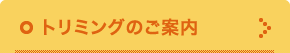 トリミングのご案内